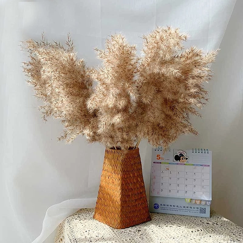 Natural Pampas Grass Bouquet Decorative Dried Plants For Bohemian Style Living Room Dining Room Bedroom Trending Decor BoHo Style Home Interior Decoration