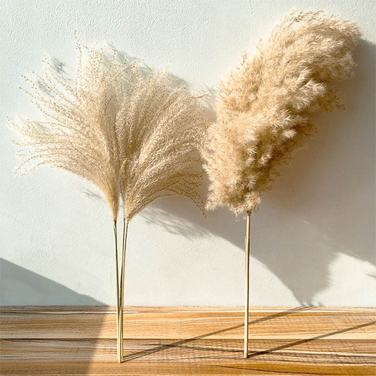 Real Dried Pampas Grass Bouquet Bohemian Decor Natural Dried Fluffy Plants For Dining Room Kitchen Decoration Living Room Boho Style Home Interior Design