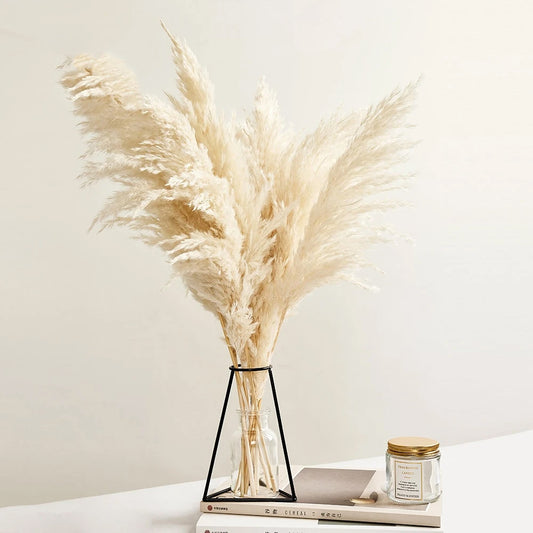 Real Pampas Grass Decor Natural Dried Flowers Modern Bohemian Home Styling Bleached White Color Fluffy Natural Floral Bouquet For BoHo Style Home Interior Design