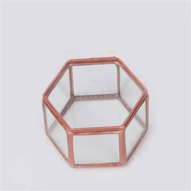 Nordic Style Geometric Polygon Transparent Gold And Glass Jewelry Storage Box Desktop Display Succulents Cactus Plant Pot