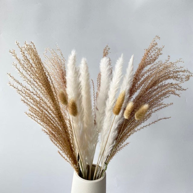 White Pampas Grass Bouquet Home Decor Real Dried Plants Natural Floral Bouquet For Living Room Dining Room Bedroom Celebration Event Decoration Assorted Colors