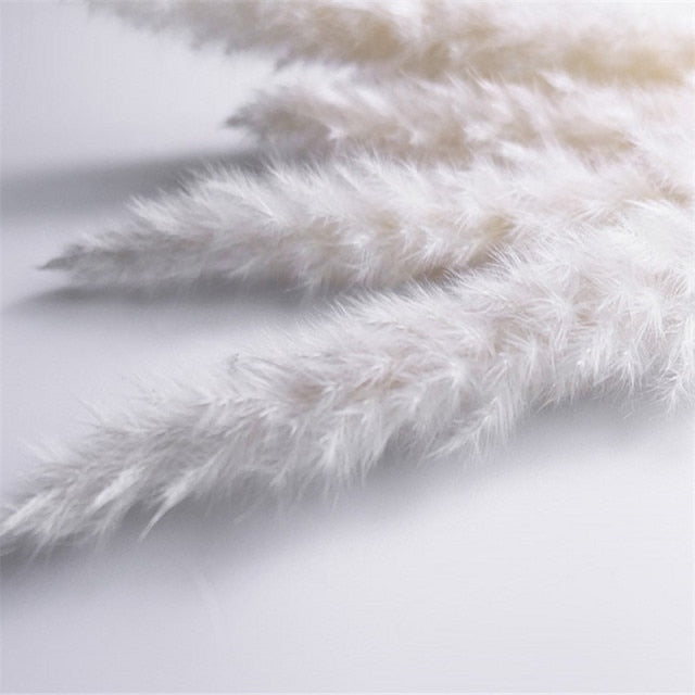 Lagurus Ovatus Hare's Tail Bouquets Real Dried Natural Plants Floral Bouquet Decoration For Living Room Kitchen Dining Room Table Trending Interior Decor
