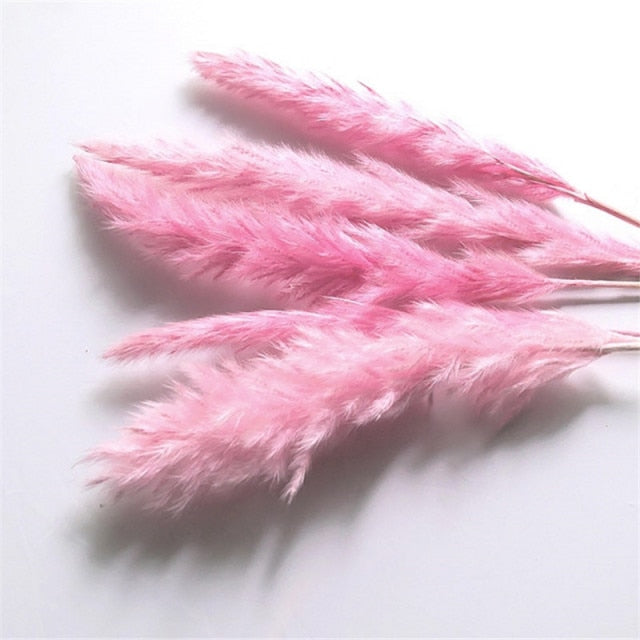 Lagurus Ovatus Hare's Tail Bouquets Real Dried Natural Plants Floral Bouquet Decoration For Living Room Kitchen Dining Room Table Trending Interior Decor