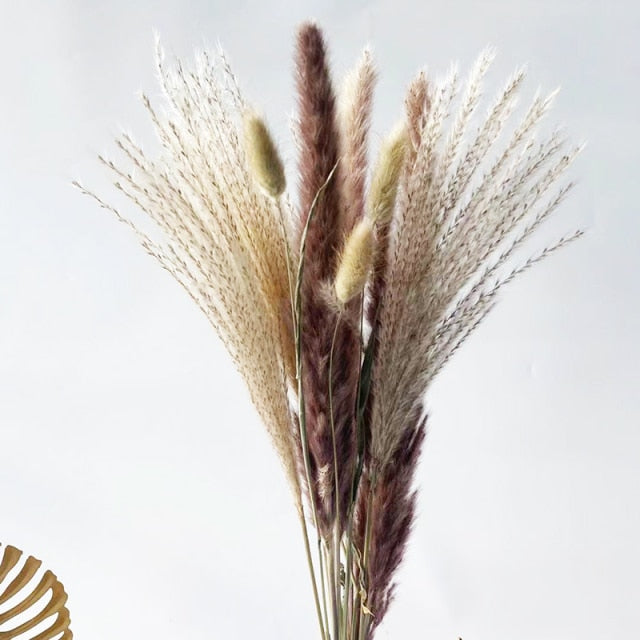 White Pampas Grass Bouquet Home Decor Real Dried Plants Natural Floral Bouquet For Living Room Dining Room Bedroom Celebration Event Decoration Assorted Colors
