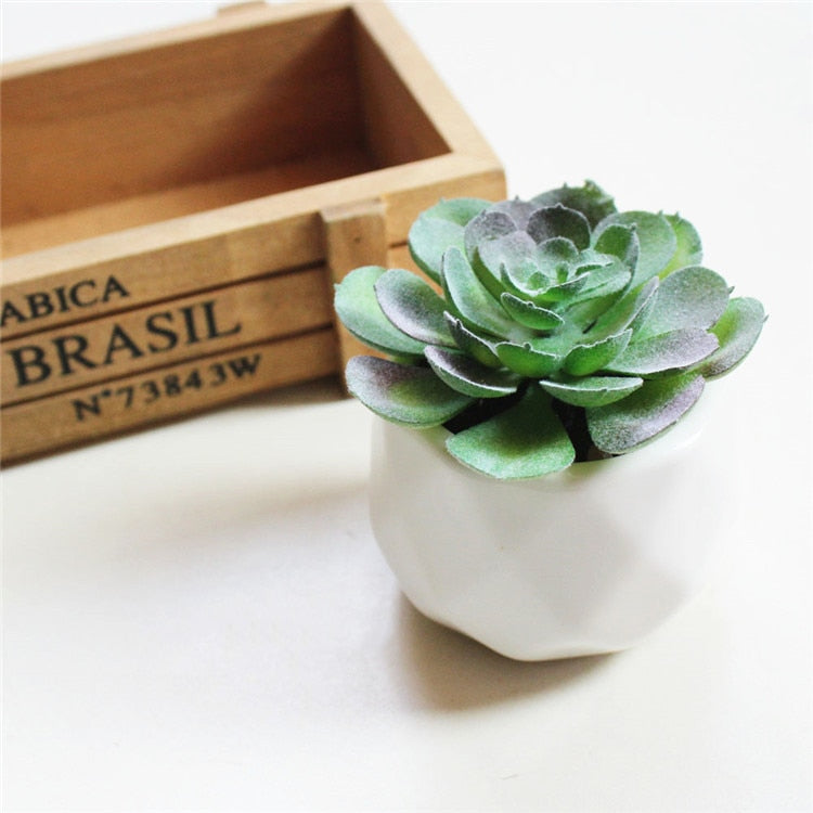 Lush Artificial Succulent Bonsai in Pots: A Maintenance-Free Touch of Green for Your Home or Office Desktop