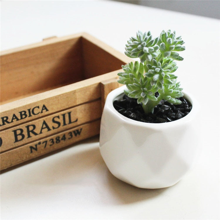 Lush Artificial Succulent Bonsai in Pots: A Maintenance-Free Touch of Green for Your Home or Office Desktop