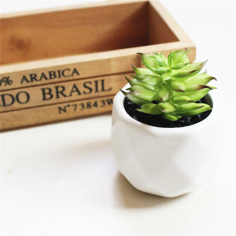 Lush Artificial Succulent Bonsai in Pots: A Maintenance-Free Touch of Green for Your Home or Office Desktop