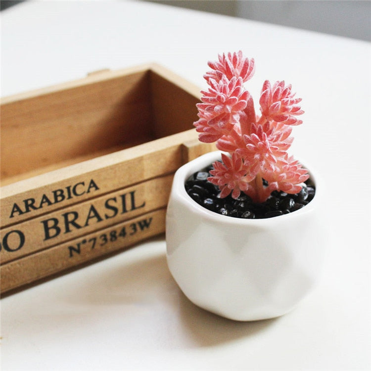 Lush Artificial Succulent Bonsai in Pots: A Maintenance-Free Touch of Green for Your Home or Office Desktop