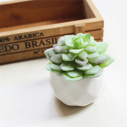 Lush Artificial Succulent Bonsai in Pots: A Maintenance-Free Touch of Green for Your Home or Office Desktop