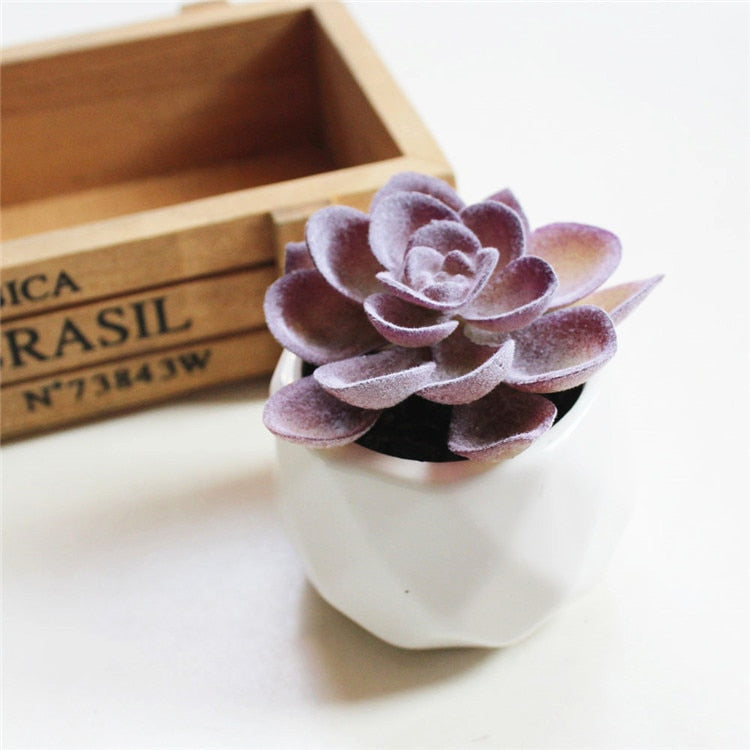 Lush Artificial Succulent Bonsai in Pots: A Maintenance-Free Touch of Green for Your Home or Office Desktop