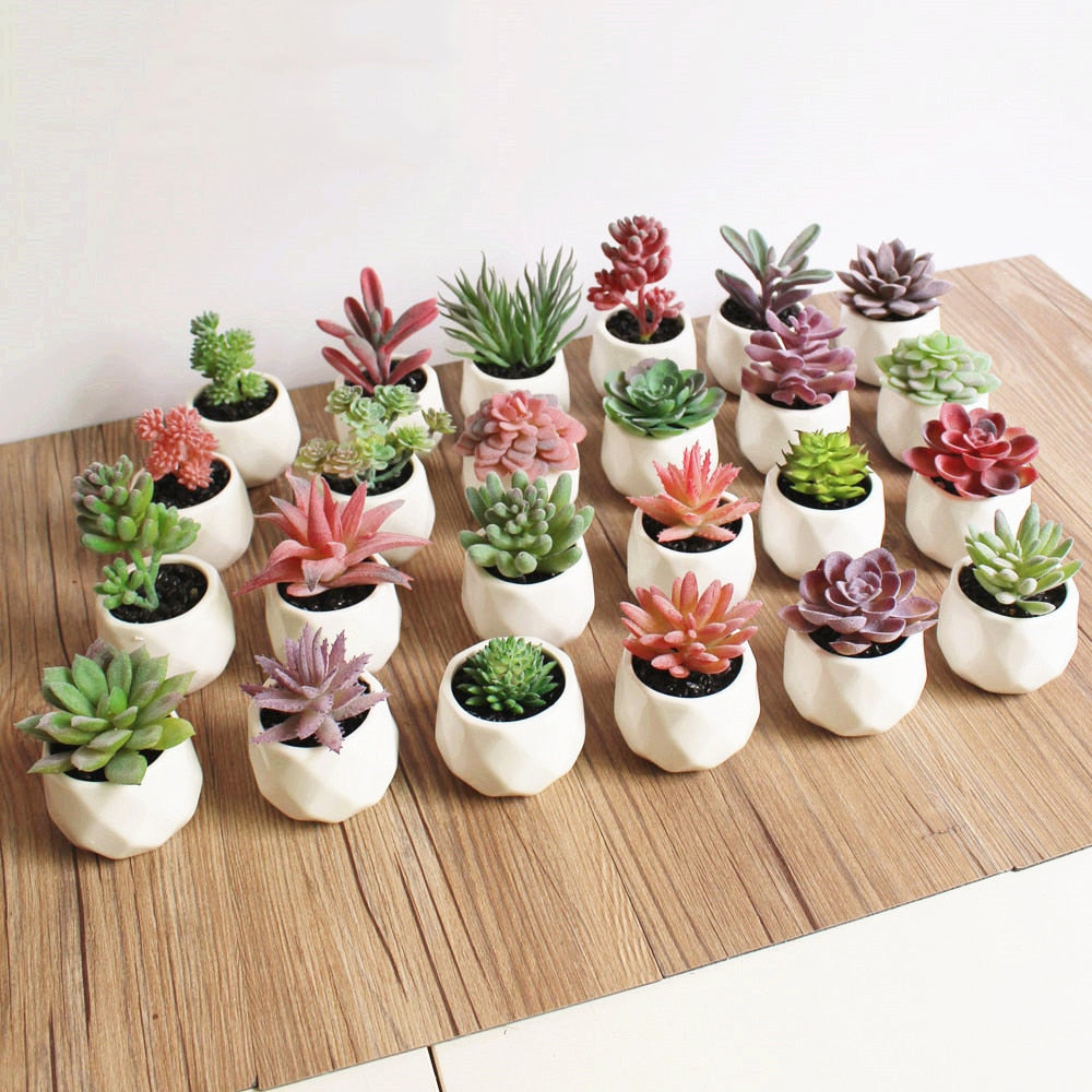 Lush Artificial Succulent Bonsai in Pots: A Maintenance-Free Touch of Green for Your Home or Office Desktop
