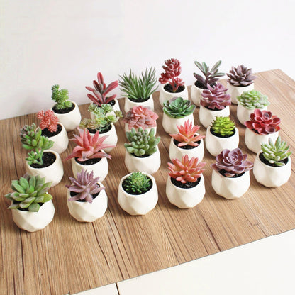 Lush Artificial Succulent Bonsai in Pots: A Maintenance-Free Touch of Green for Your Home or Office Desktop