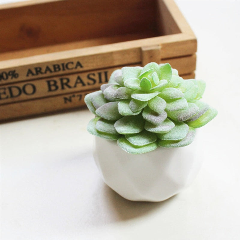 Lush Artificial Succulent Bonsai in Pots: A Maintenance-Free Touch of Green for Your Home or Office Desktop