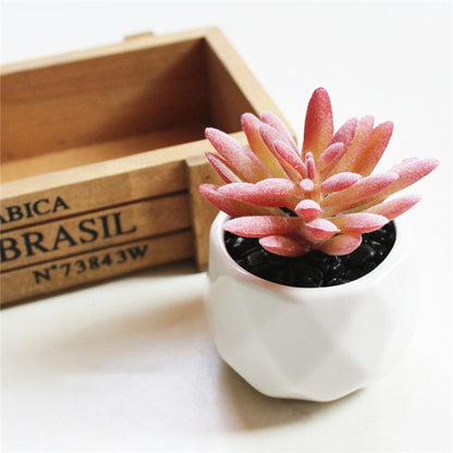 Lush Artificial Succulent Bonsai in Pots: A Maintenance-Free Touch of Green for Your Home or Office Desktop
