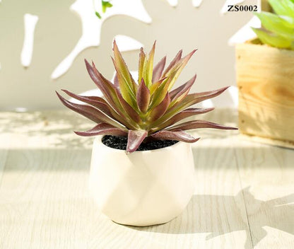 Lush Artificial Succulent Bonsai in Pots: A Maintenance-Free Touch of Green for Your Home or Office Desktop
