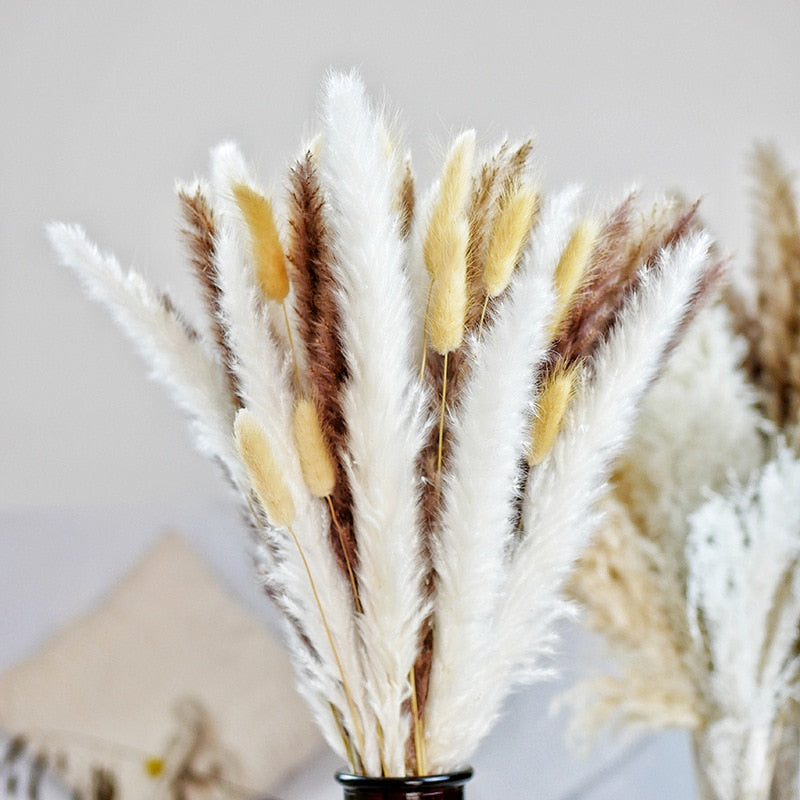 Natural Dried Pampa Grass Bouquet Boho Home Decor Phragmites Bouquet Dried Flowers Bouquet for Wedding Ramadan Decoration 80PCS