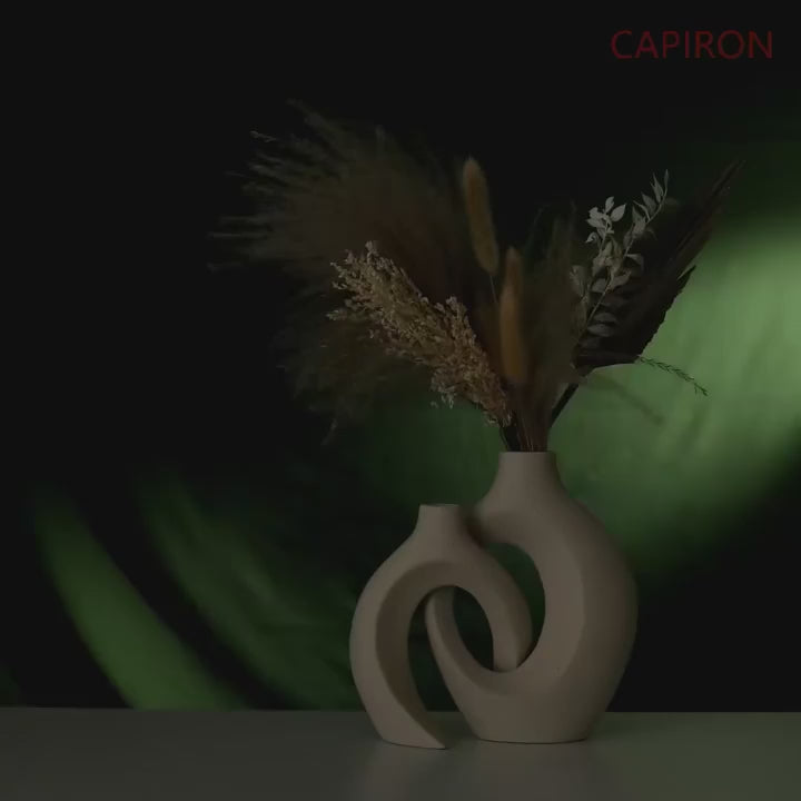 Modern Abstract Nordic Ceramic Embrace Vases for Pampas Grass Dried Flower 2Pcs/Set