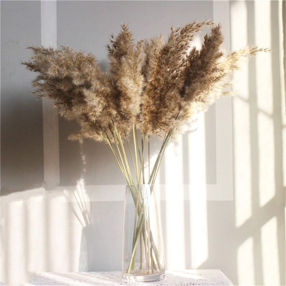 Dried Pampas Grass Rustic Bouquet Natural River Reeds Dried Plants For ...