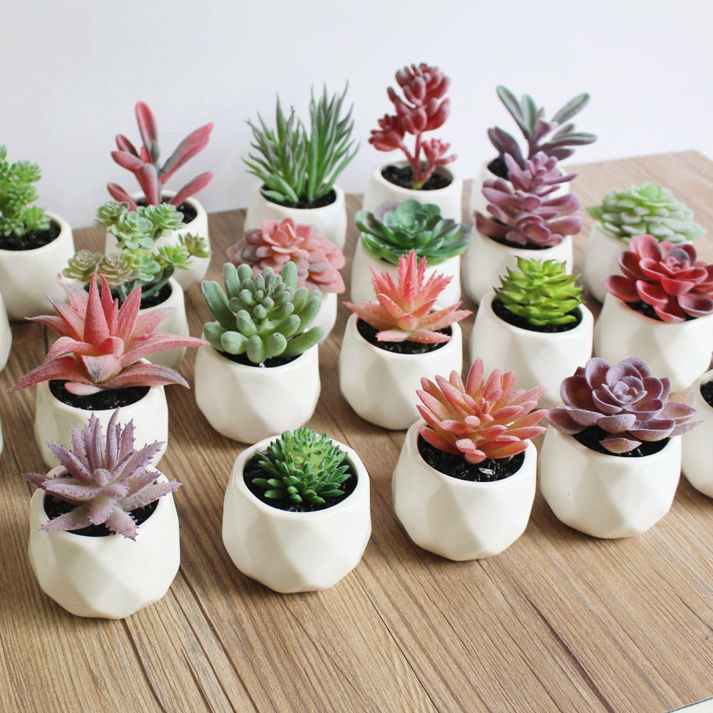 Lush Artificial Succulent Bonsai in Pots: A Maintenance-Free Touch of Green for Your Home or Office Desktop