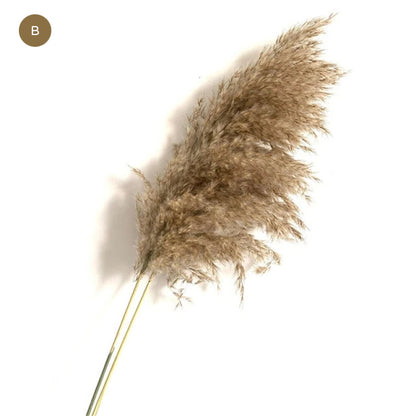 Natural Pampas Grass Bouquet Decorative Dried Plants For Bohemian Style Living Room Dining Room Bedroom Trending Decor BoHo Style Home Interior Decoration