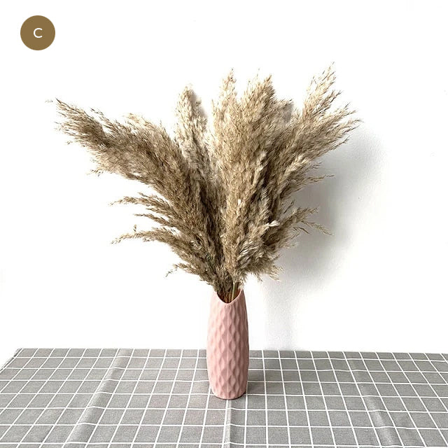 Natural Pampas Grass Bouquet Decorative Dried Plants For Bohemian Style Living Room Dining Room Bedroom Trending Decor BoHo Style Home Interior Decoration