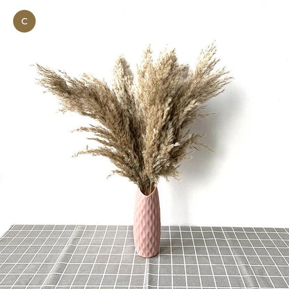 Natural Pampas Grass Bouquet Decorative Dried Plants For Bohemian Style Living Room Dining Room Bedroom Trending Decor BoHo Style Home Interior Decoration
