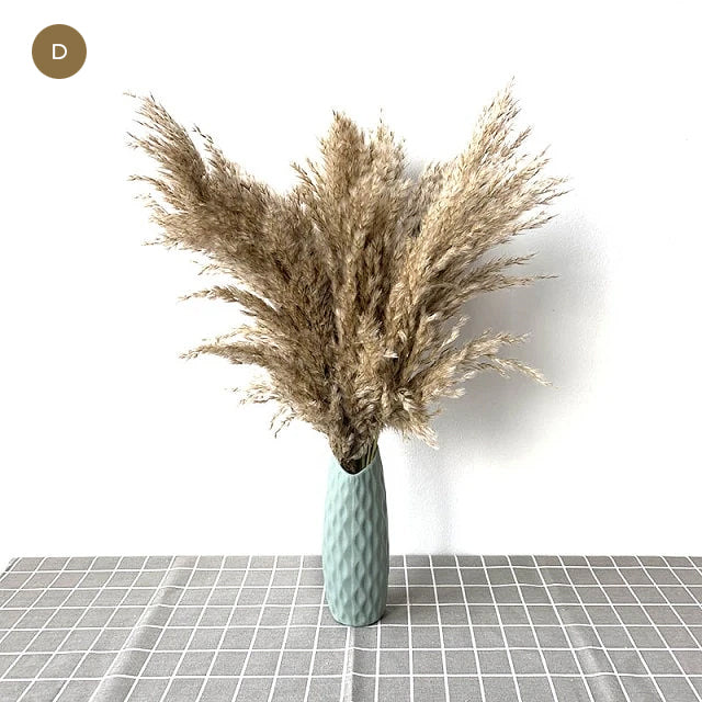 Natural Pampas Grass Bouquet Decorative Dried Plants For Bohemian Style Living Room Dining Room Bedroom Trending Decor BoHo Style Home Interior Decoration
