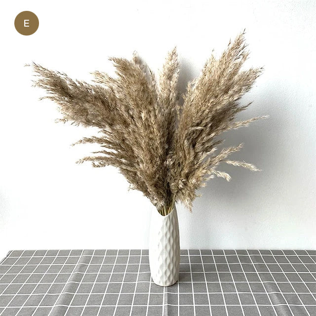Natural Pampas Grass Bouquet Decorative Dried Plants For Bohemian Style Living Room Dining Room Bedroom Trending Decor BoHo Style Home Interior Decoration