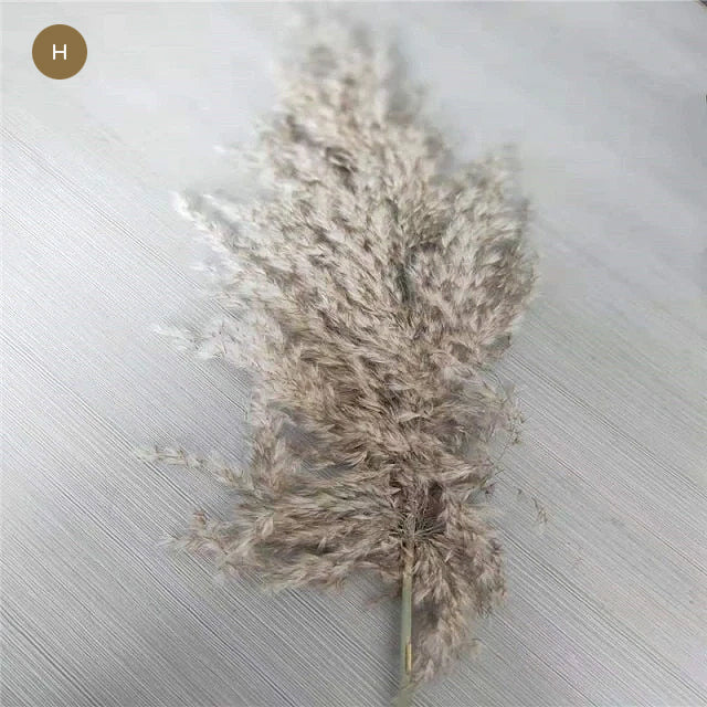 Natural Pampas Grass Bouquet Decorative Dried Plants For Bohemian Style Living Room Dining Room Bedroom Trending Decor BoHo Style Home Interior Decoration
