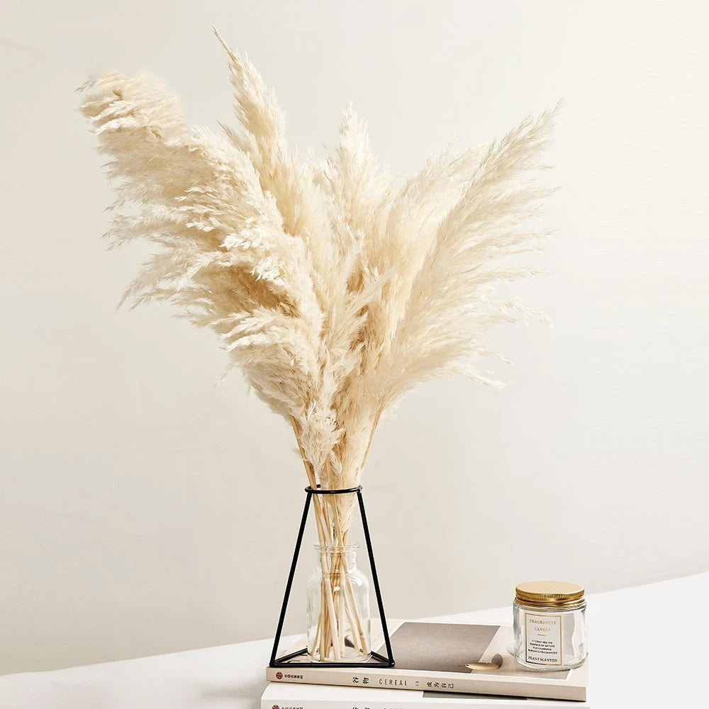 Real Pampas Grass Decor Natural Dried Flowers Modern Bohemian Home Styling Bleached White Color Fluffy Natural Floral Bouquet For BoHo Style Home Interior Design