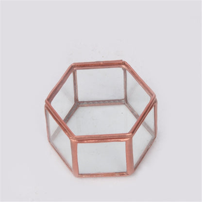 Nordic Style Geometric Polygon Transparent Gold And Glass Jewelry Storage Box Desktop Display Succulents Cactus Plant Pot