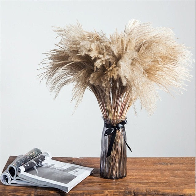 Dried Pampas Grass Rustic Bouquet Natural River Reeds Dried Plants For ...