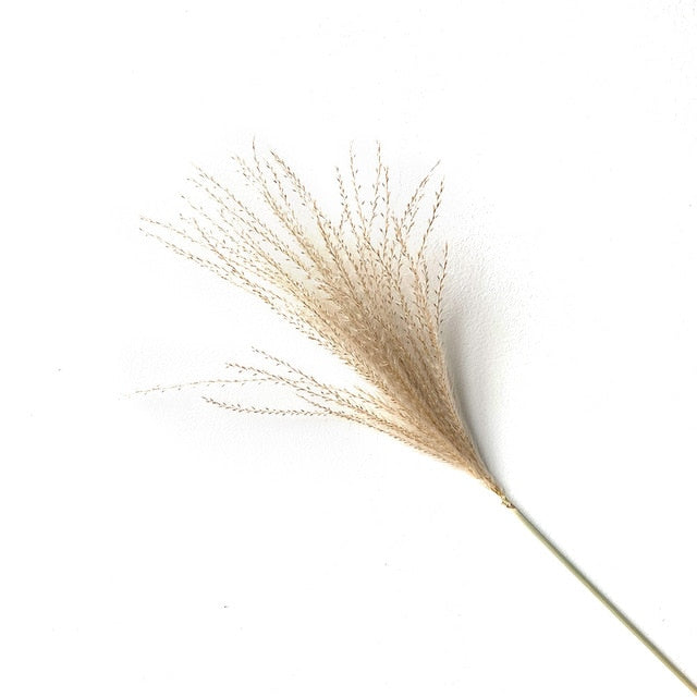 Real Dried Pampas Grass Bouquet Bohemian Decor Natural Dried Fluffy Plants For Dining Room Kitchen Decoration Living Room Boho Style Home Interior Design