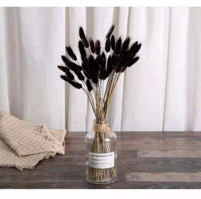 White Pampas Grass Bouquet Home Decor Real Dried Plants Natural Floral Bouquet For Living Room Dining Room Bedroom Celebration Event Decoration Assorted Colors