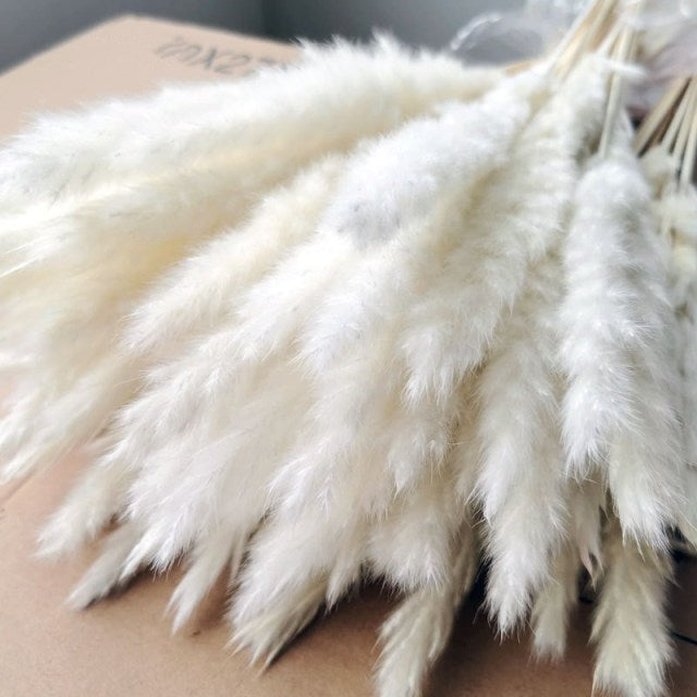 White Pampas Grass Bouquet Home Decor Real Dried Plants Natural Floral Bouquet For Living Room Dining Room Bedroom Celebration Event Decoration Assorted Colors