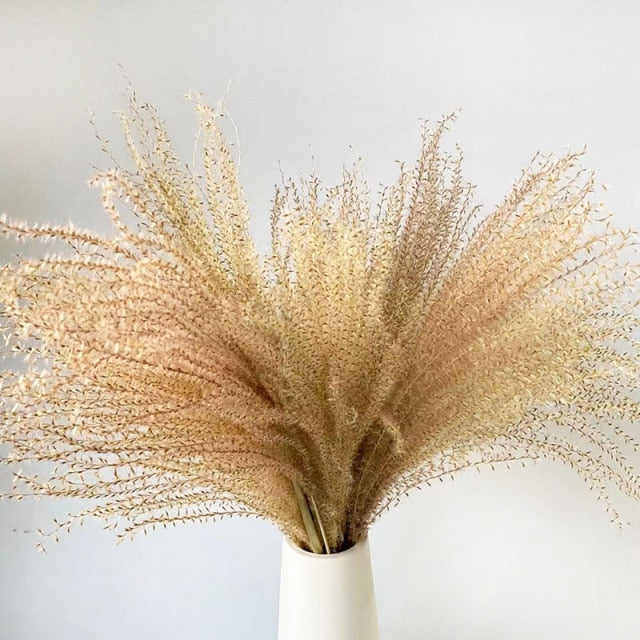 White Pampas Grass Bouquet Home Decor Real Dried Plants Natural Floral Bouquet For Living Room Dining Room Bedroom Celebration Event Decoration Assorted Colors