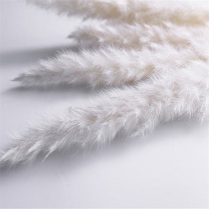 Lagurus Ovatus Hare's Tail Bouquets Real Dried Natural Plants Floral Bouquet Decoration For Living Room Kitchen Dining Room Table Trending Interior Decor